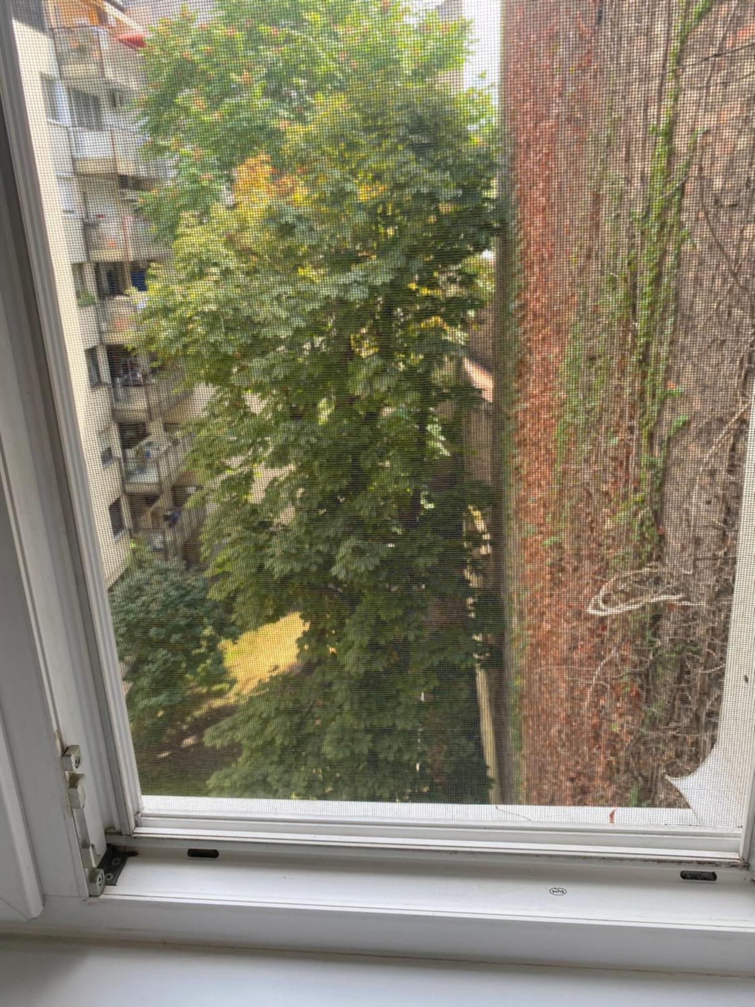 Budapest Oasis One Bedroom For Renting Bagian luar foto